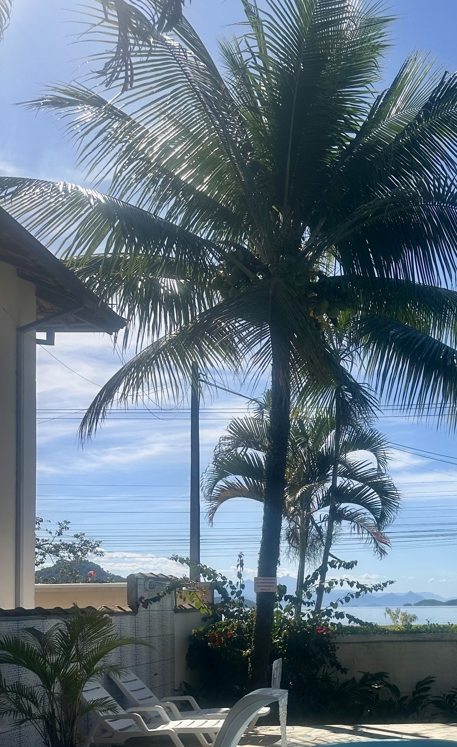 IMG_2285- JABA 2025 PISCINA_1.jpg